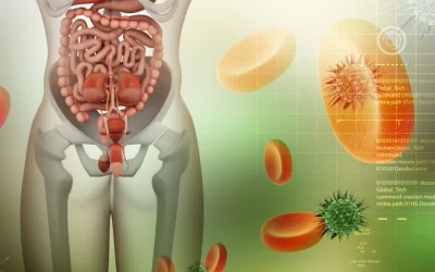 Microbiota Intestinal – Qual A Importância Para A Sua Saúde?