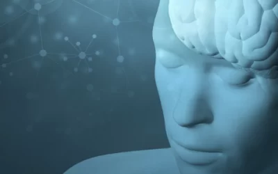Cérebro e o Ser Humano